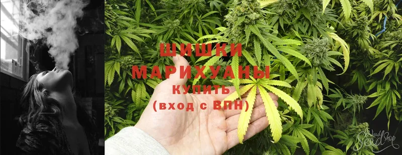 darknet телеграм  Любань  Каннабис White Widow  OMG ССЫЛКА 